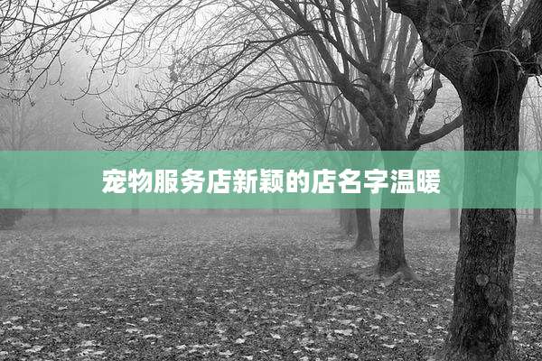 宠物服务店新颖的店名字温暖