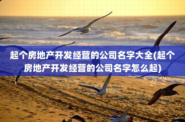 起个房地产开发经营的公司名字大全(起个房地产开发经营的公司名字怎么起)