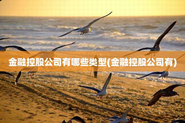 金融控股公司有哪些类型(金融控股公司有)
