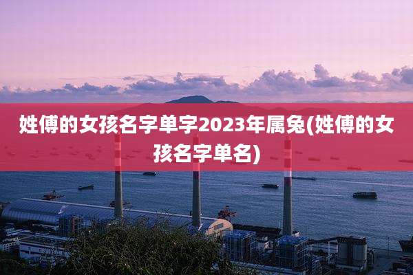 姓傅的女孩名字单字2023年属兔(姓傅的女孩名字单名)