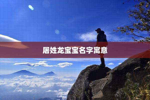 屠姓龙宝宝名字寓意