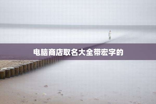 电脑商店取名大全带宏字的