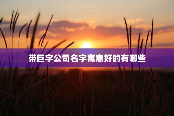 带巨字公司名字寓意好的有哪些