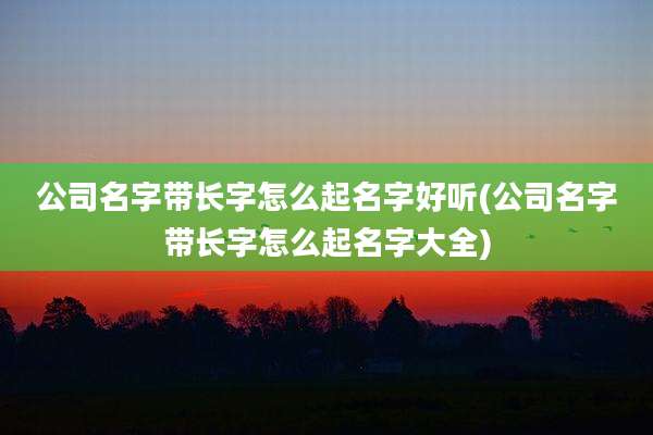 公司名字带长字怎么起名字好听(公司名字带长字怎么起名字大全)