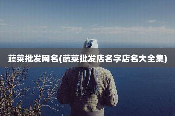 蔬菜批发网名(蔬菜批发店名字店名大全集)
