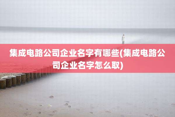 集成电路公司企业名字有哪些(集成电路公司企业名字怎么取)