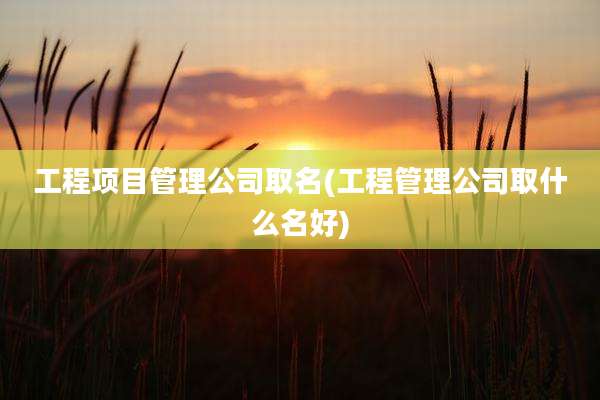 工程项目管理公司取名(工程管理公司取什么名好)