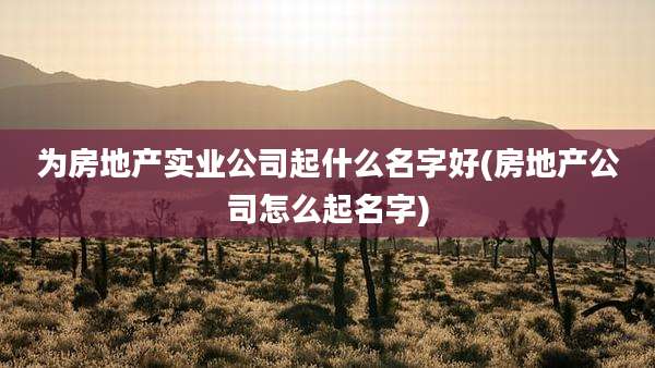 为房地产实业公司起什么名字好(房地产公司怎么起名字)