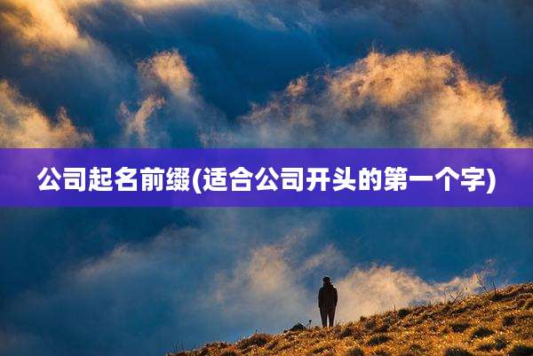 公司起名前缀(适合公司开头的第一个字)