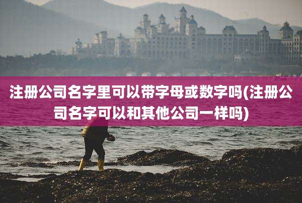 注册公司名字里可以带字母或数字吗(注册公司名字可以和其他公司一样吗)