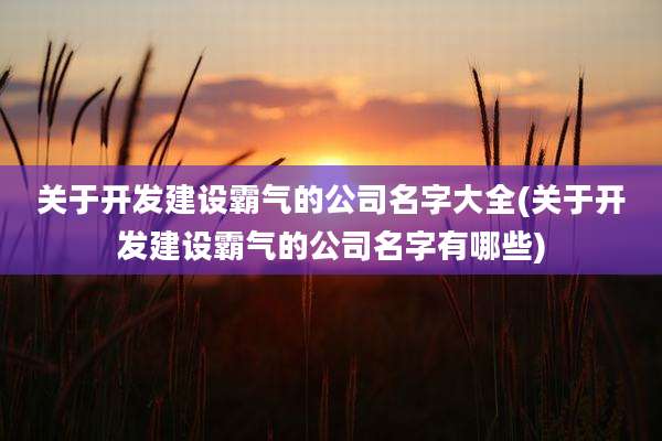 关于开发建设霸气的公司名字大全(关于开发建设霸气的公司名字有哪些)