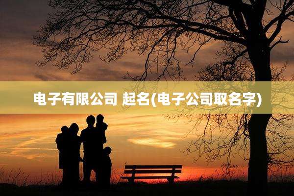 电子有限公司 起名(电子公司取名字)