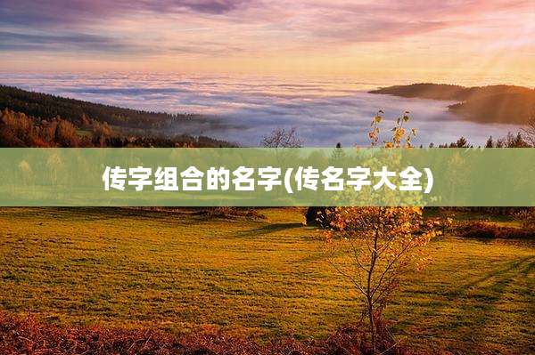 传字组合的名字(传名字大全)