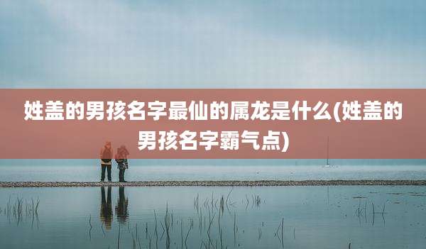 姓盖的男孩名字最仙的属龙是什么(姓盖的男孩名字霸气点)