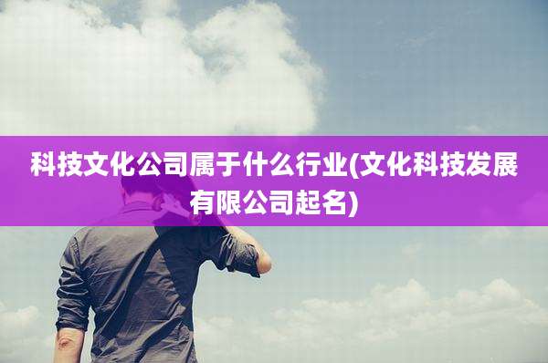科技文化公司属于什么行业(文化科技发展有限公司起名)