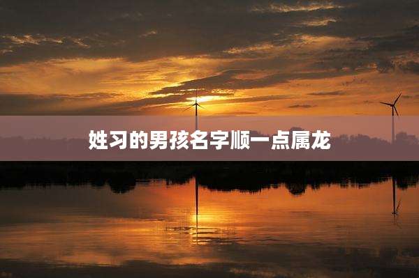 姓习的男孩名字顺一点属龙