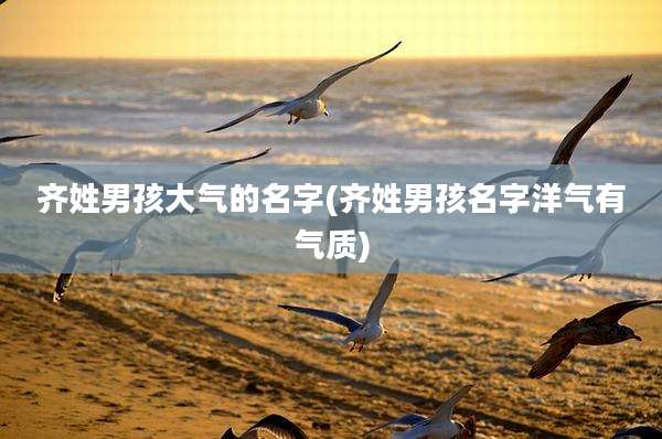 齐姓男孩大气的名字(齐姓男孩名字洋气有气质)