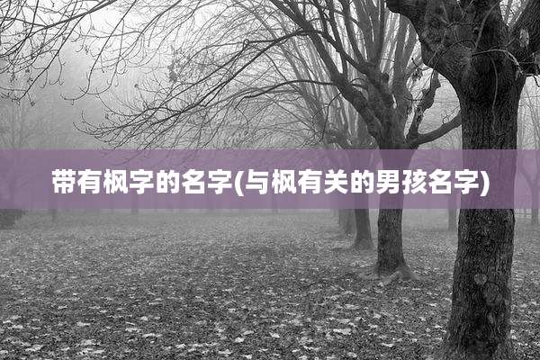 带有枫字的名字(与枫有关的男孩名字)