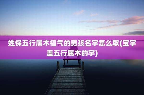 姓保五行属木福气的男孩名字怎么取(宝字盖五行属木的字)