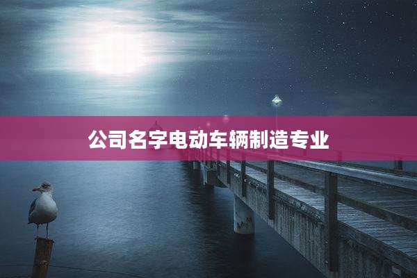公司名字电动车辆制造专业