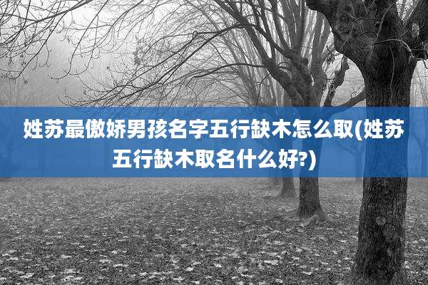 姓苏最傲娇男孩名字五行缺木怎么取(姓苏五行缺木取名什么好?)