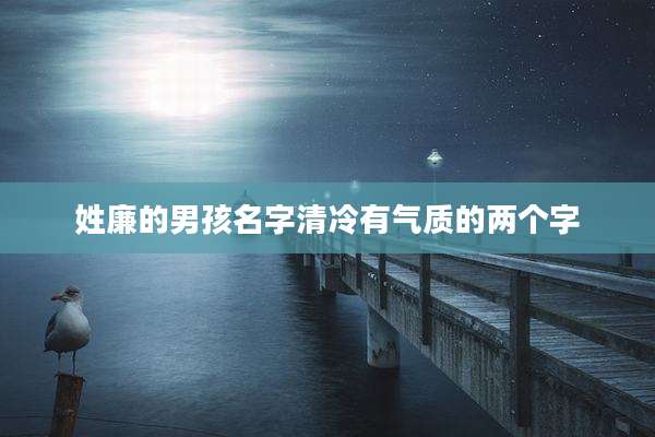 姓廉的男孩名字清冷有气质的两个字
