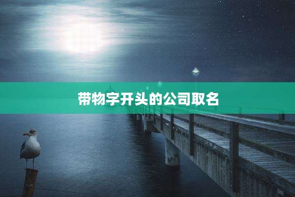 带物字开头的公司取名
