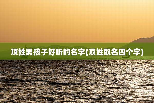 项姓男孩子好听的名字(项姓取名四个字)