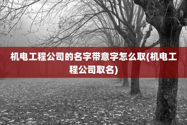 机电工程公司的名字带意字怎么取(机电工程公司取名)