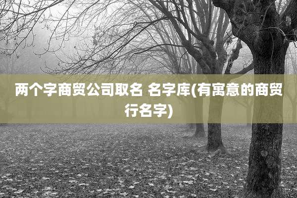 两个字商贸公司取名 名字库(有寓意的商贸行名字)