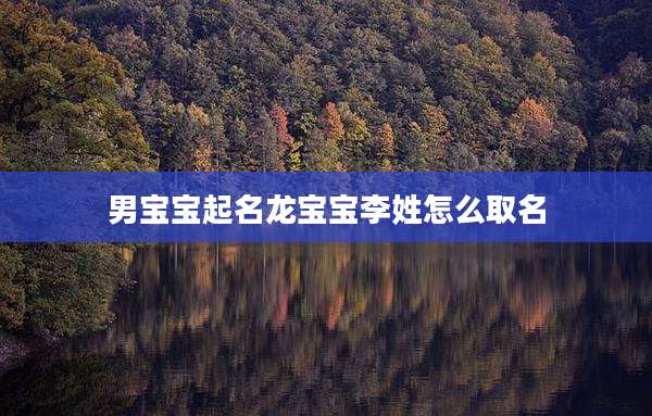 男宝宝起名龙宝宝李姓怎么取名