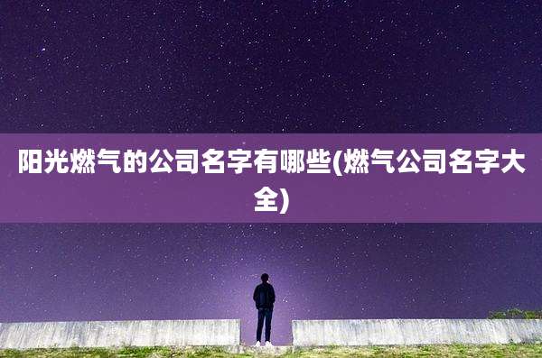 阳光燃气的公司名字有哪些(燃气公司名字大全)