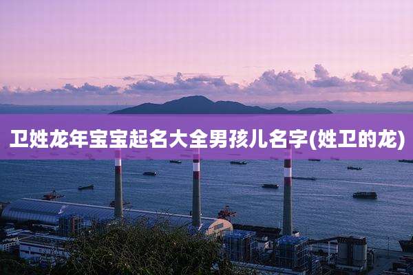 卫姓龙年宝宝起名大全男孩儿名字(姓卫的龙)