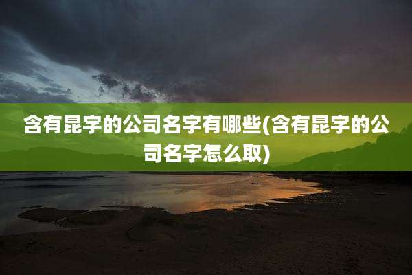含有昆字的公司名字有哪些(含有昆字的公司名字怎么取)
