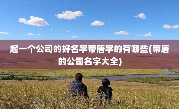 起一个公司的好名字带唐字的有哪些(带唐的公司名字大全)