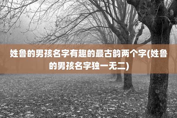 姓鲁的男孩名字有趣的最古韵两个字(姓鲁的男孩名字独一无二)