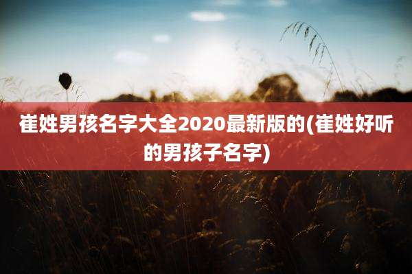 崔姓男孩名字大全2020最新版的(崔姓好听的男孩子名字)