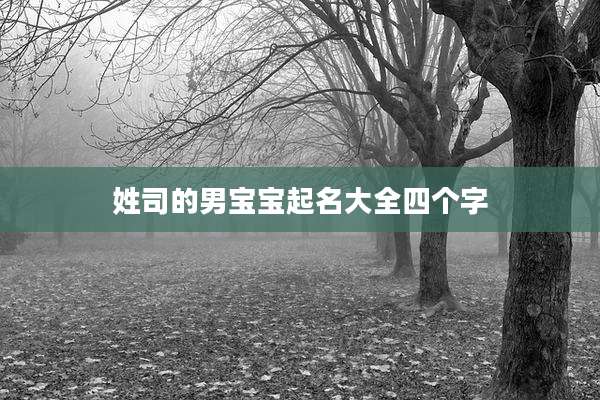 姓司的男宝宝起名大全四个字