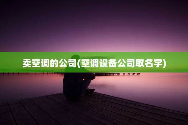 卖空调的公司(空调设备公司取名字)