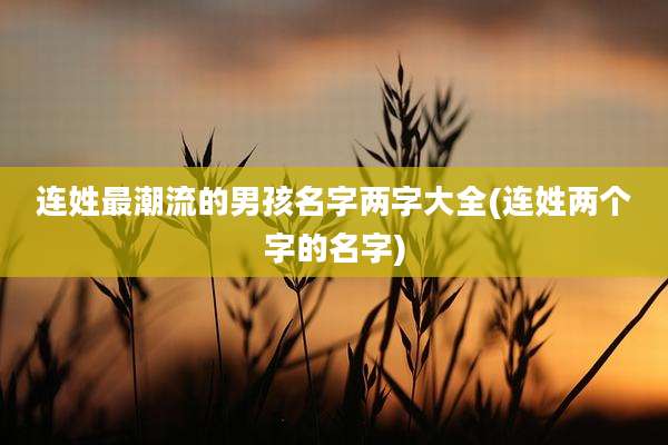 连姓最潮流的男孩名字两字大全(连姓两个字的名字)