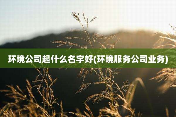 环境公司起什么名字好(环境服务公司业务)
