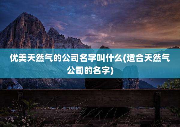优美天然气的公司名字叫什么(适合天然气公司的名字)