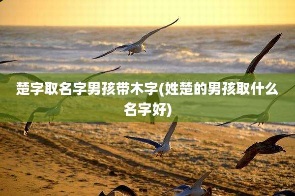 楚字取名字男孩带木字(姓楚的男孩取什么名字好)
