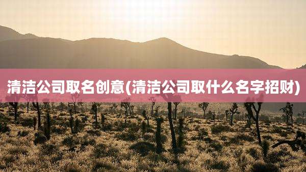清洁公司取名创意(清洁公司取什么名字招财)