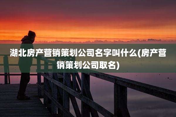 湖北房产营销策划公司名字叫什么(房产营销策划公司取名)