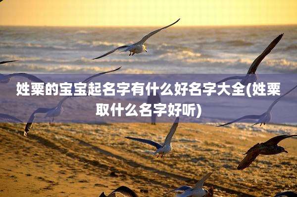 姓粟的宝宝起名字有什么好名字大全(姓粟取什么名字好听)
