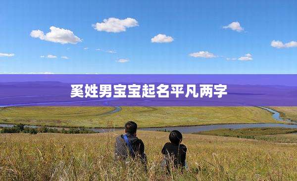 奚姓男宝宝起名平凡两字