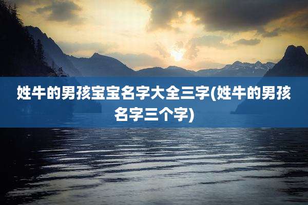 姓牛的男孩宝宝名字大全三字(姓牛的男孩名字三个字)