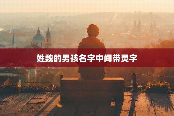 姓魏的男孩名字中间带灵字