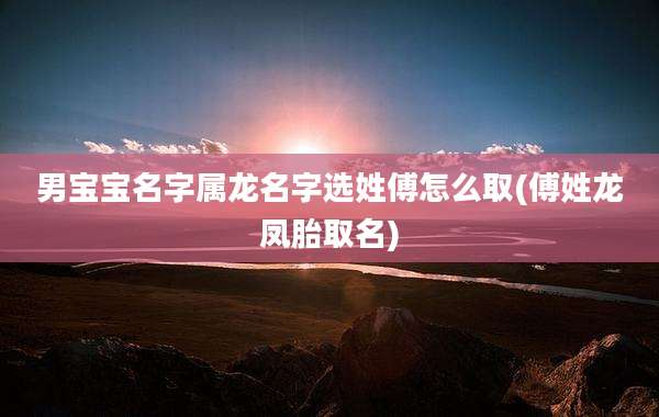 男宝宝名字属龙名字选姓傅怎么取(傅姓龙凤胎取名)